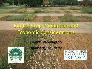 Biofuel Crop Production and Economic Considerations