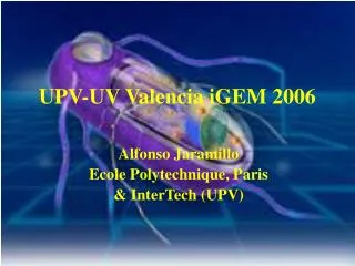 UPV-UV Valencia iGEM 2006