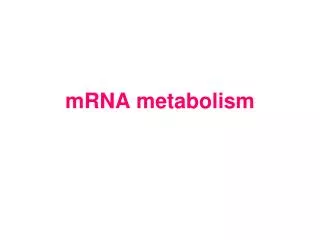 mrna metabolism