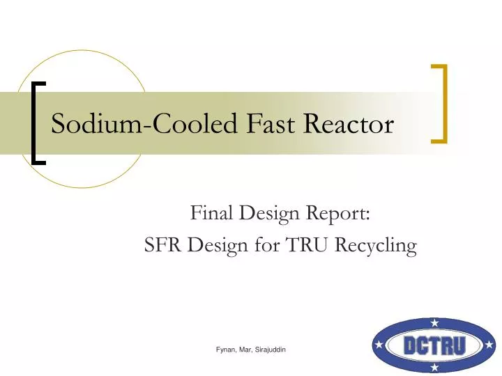 sodium cooled fast reactor
