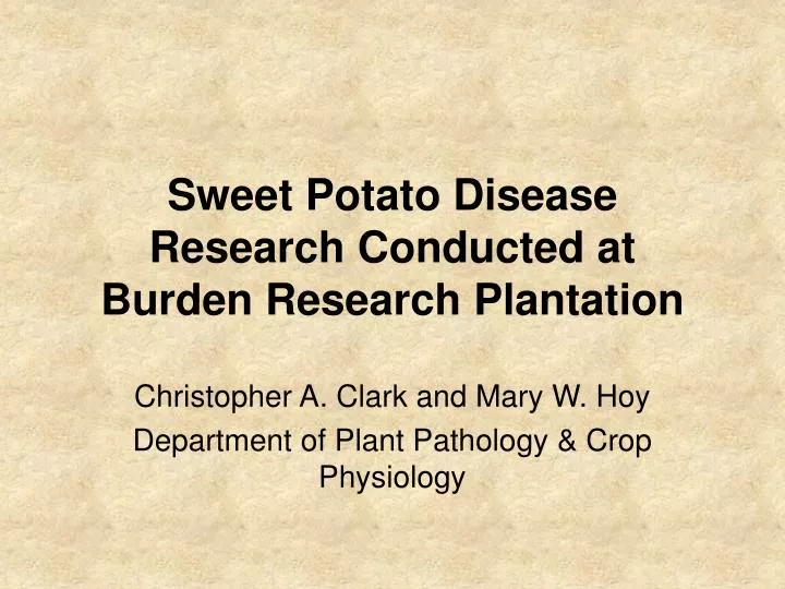 sweet potato disease research conducted at burden research plantation
