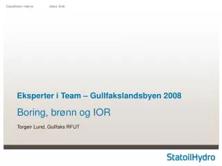 eksperter i team gullfakslandsbyen 2008