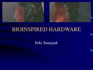 BIOINSPIRED HARDWARE