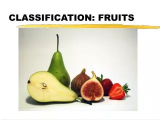 CLASSIFICATION: FRUITS