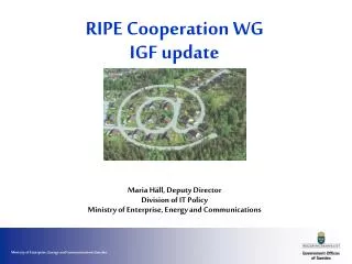 RIPE Cooperation WG IGF update