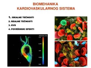 biomehanika kardiovaskularnog sistema
