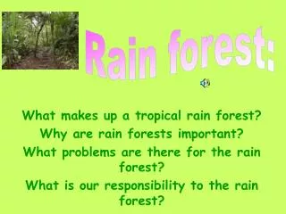 What makes up a tropical rain forest? Why are rain forests important?