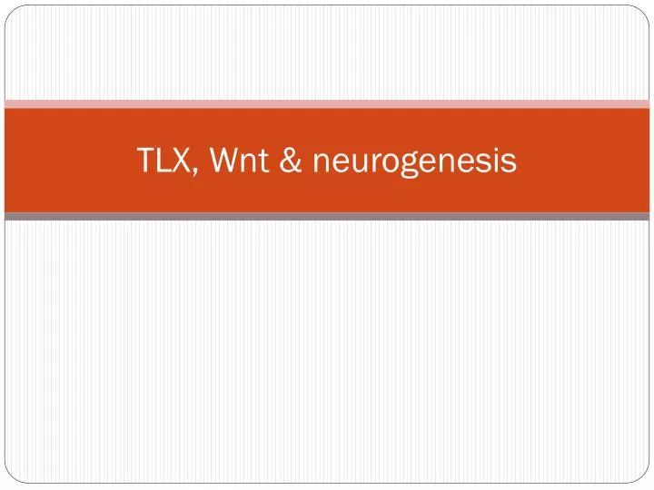 tlx wnt neurogenesis