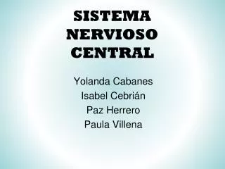 sistema nervioso central