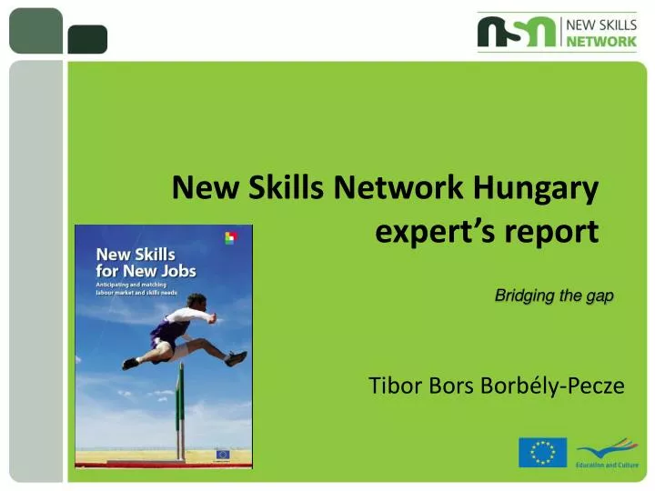 new skills network hungary expert s report