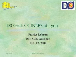 D0 Grid: CCIN2P3 at Lyon