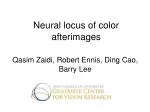 Exploring Neural Loci of Color Afterimages: Historical Insights and Psychophysical Techniques - slide 1