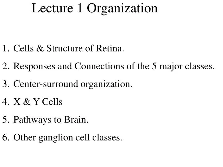 lecture 1 organization