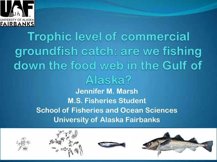 trophic level of commercial groundfish catch are we fishing down the food web in the gulf of alaska