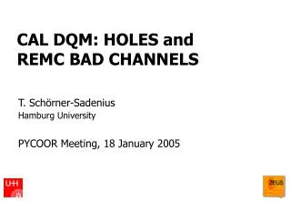 CAL DQM: HOLES and REMC BAD CHANNELS