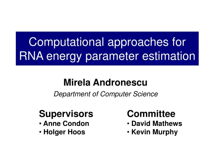 computational approaches for rna energy parameter estimation