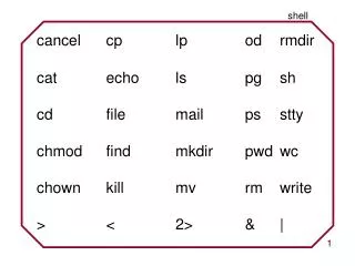 shell