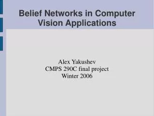 Belief Networks in Computer Vision Applications