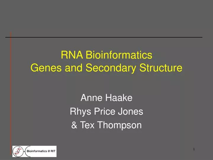 rna bioinformatics genes and secondary structure