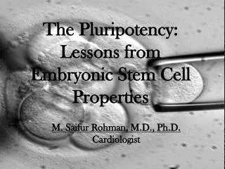 The Pluripotency : Lessons from Embryonic Stem Cell Properties