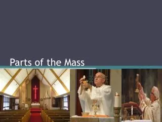 Parts of the Mass