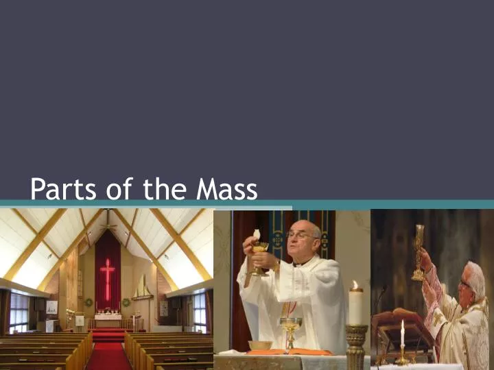 parts of the mass