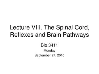Lecture VIII. The Spinal Cord, Reflexes and Brain Pathways