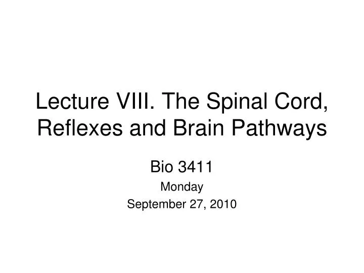 lecture viii the spinal cord reflexes and brain pathways