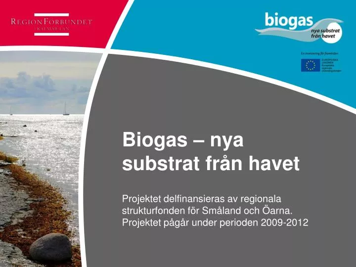 biogas nya substrat fr n havet