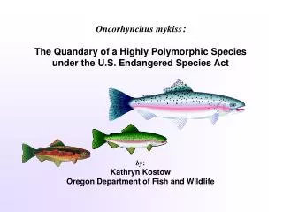 Oncorhynchus mykiss : The Quandary of a Highly Polymorphic Species