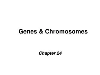 Genes &amp; Chromosomes