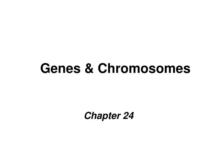 genes chromosomes