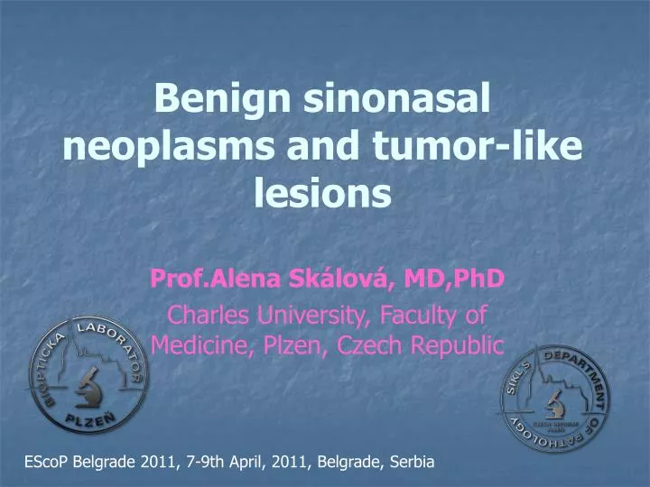 benign sinonasal neoplasms and tumor like lesions