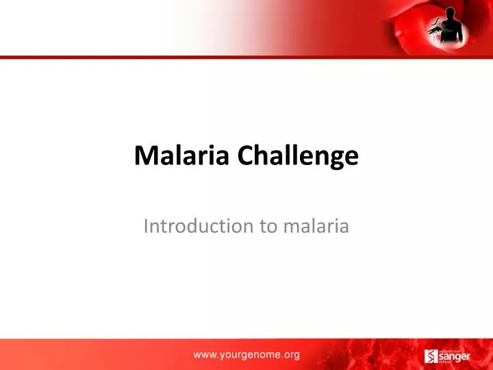 malaria challenge