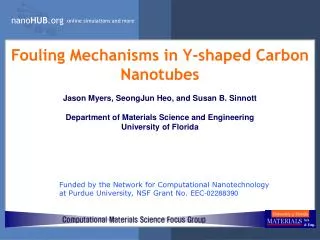 Fouling Mechanisms in Y-shaped Carbon Nanotubes
