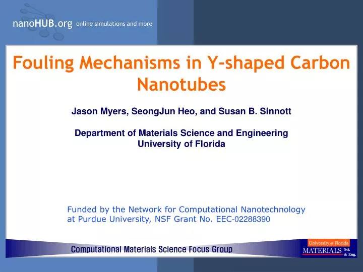 fouling mechanisms in y shaped carbon nanotubes