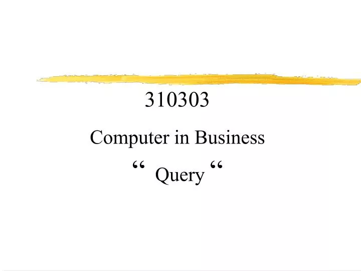 310303 computer in business query