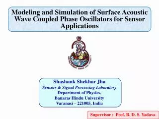 Modeling and Simulation of Surface Acoustic Wave Coupled Phase Oscillators for Sensor Applications