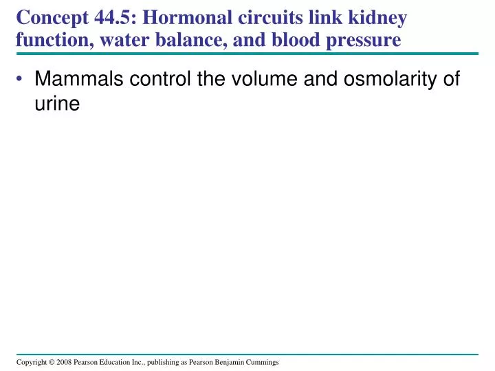 concept 44 5 hormonal circuits link kidney function water balance and blood pressure