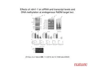 ZH Gao et al . Nature 000 , 1 - 4 (2010) doi:10.1038/nature09025