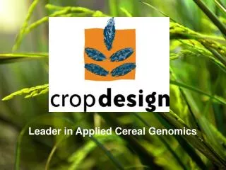 Leader in Applied Cereal Genomics