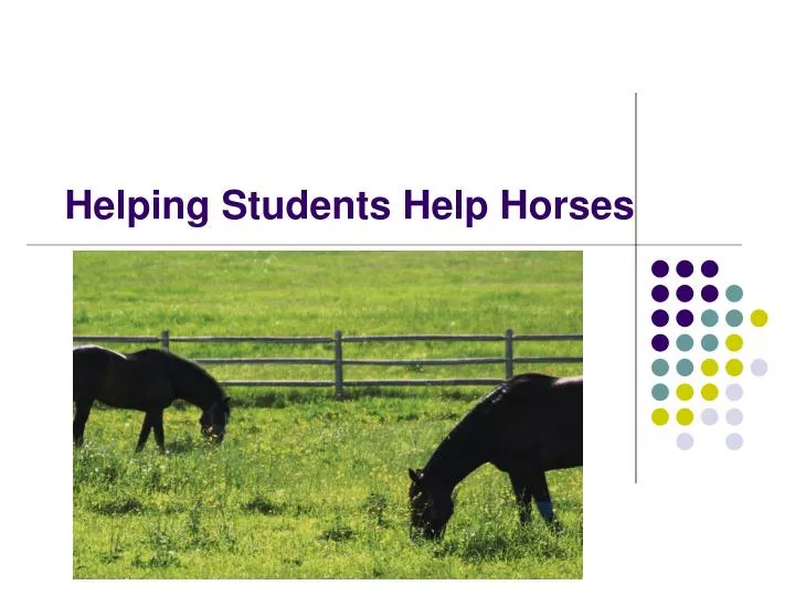 helping students help horses
