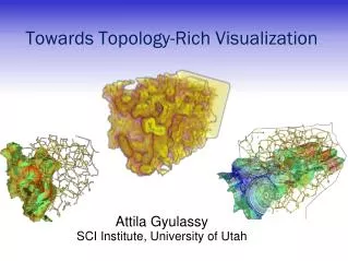 Towards Topology-Rich Visualization