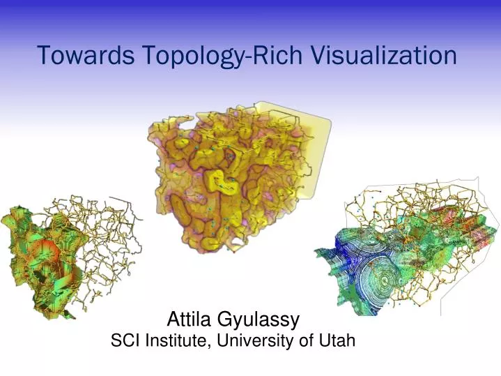 towards topology rich visualization