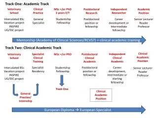 Mentorship (Academy of Clinical Sciences/RCVS?) + clinical academic training