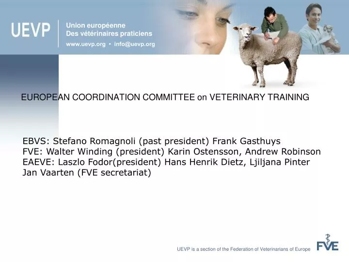 european coordination committee on veterinary training