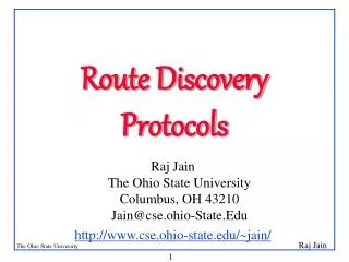 Route Discovery Protocols
