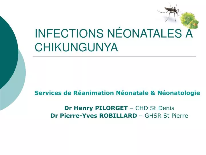 infections n onatales chikungunya