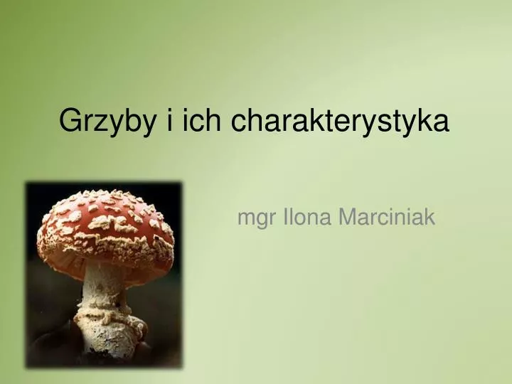 grzyby i ich charakterystyka