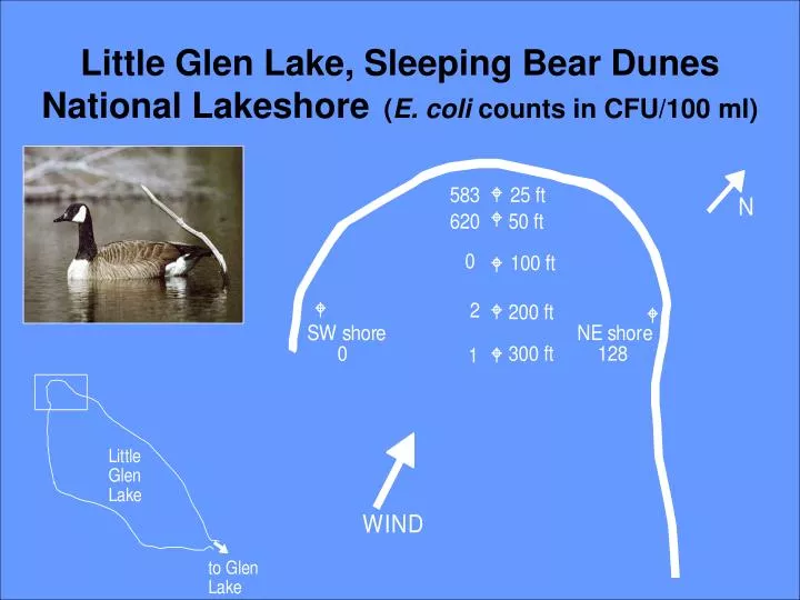 little glen lake sleeping bear dunes national lakeshore e coli counts in cfu 100 ml